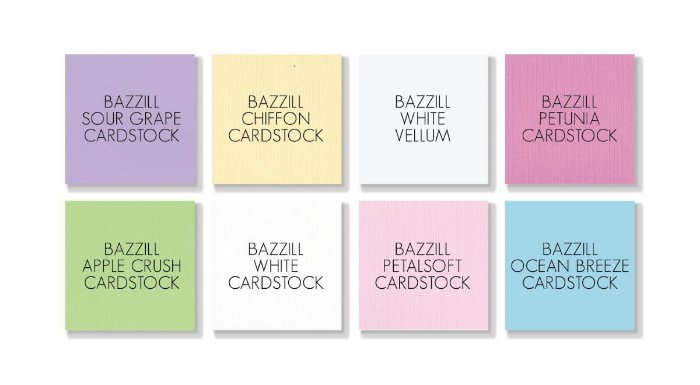 February 2020 Cardstock Kit