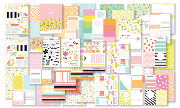 August 2023 Pocket Life Kit  
